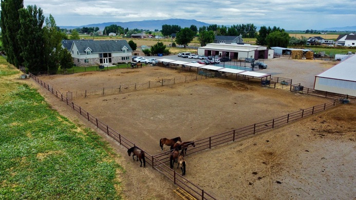 An aerial view of some of Maple Lake Academy’s horses used to help students through their Equine Therapy program.